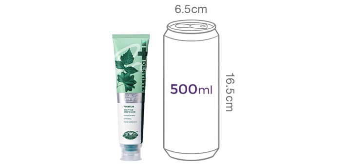 [덴티스테] 플러스 화이트 프로 160g*6개