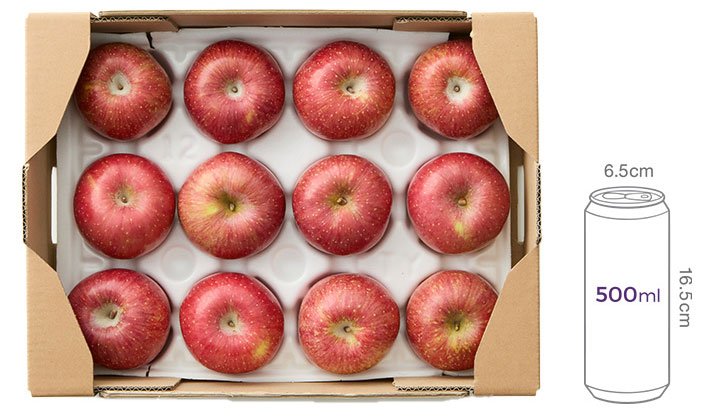 고랭지 햇사과 3kg(11~12입)