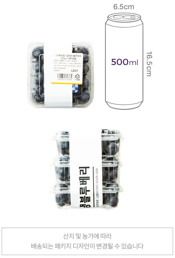 [기획상품] 칠레산 블루베리 125g*3팩