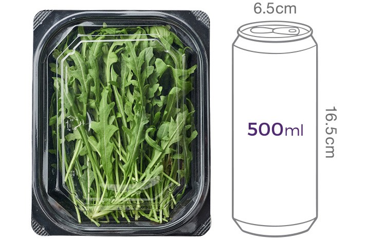 와일드 루꼴라 50g