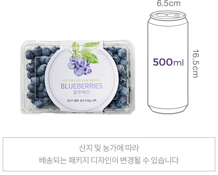 [기획상품] 칠레산 블루베리 310g*2팩