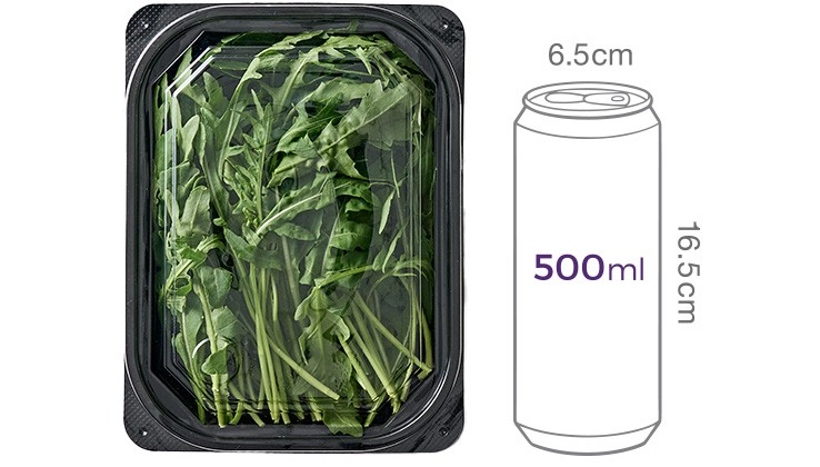 와일드 루꼴라 100g