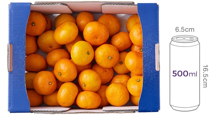 [서귀포농협] 탐라제왕 타이벡 감귤 3kg