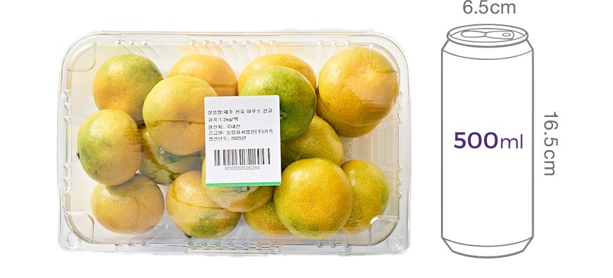 제주 신효 하우스 감귤 1.2kg