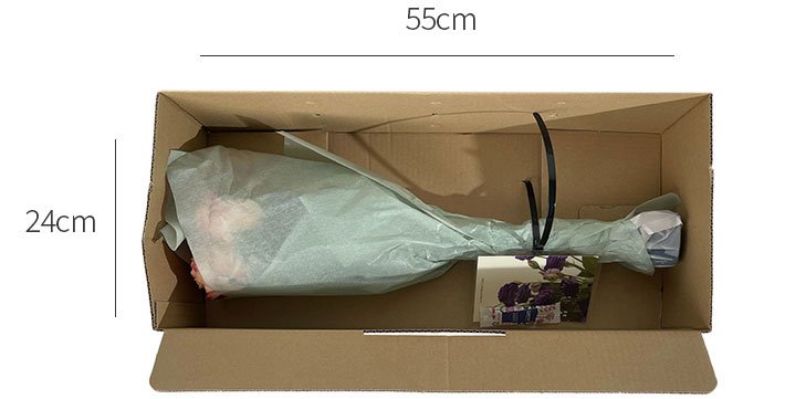 쉄머 장미(콜롬비아산) 5송이