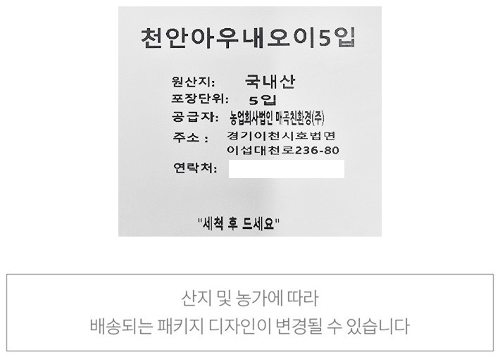 천안 아우내 백다다기오이 5입