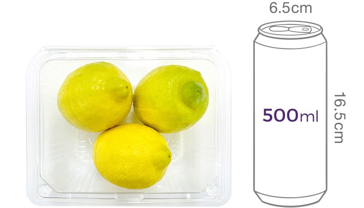 제주 레몬 450g (3~5입)