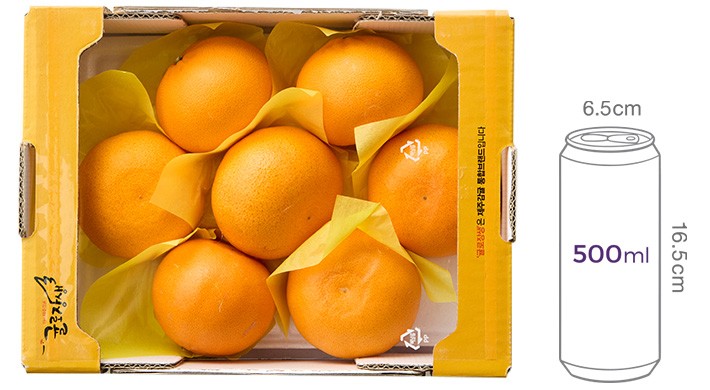 [귤로장생] 당도선별 천혜향 2kg(7~10입)