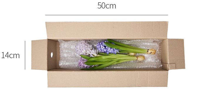 [농부의 꽃] 히아신스 랜덤 믹스 3대