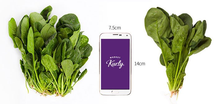 친환경 시금치 200g