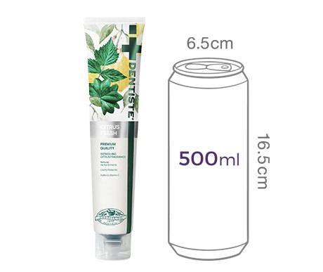 [덴티스테] 시트러스 후레쉬 치약 200g