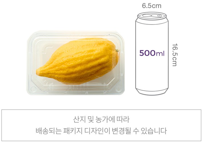 임대근 생산자의 아말피 레몬 500g 이상 (1입)