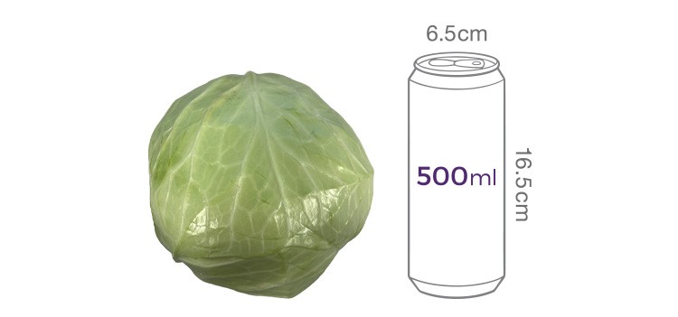 한통 양배추 (1.5kg 이상)