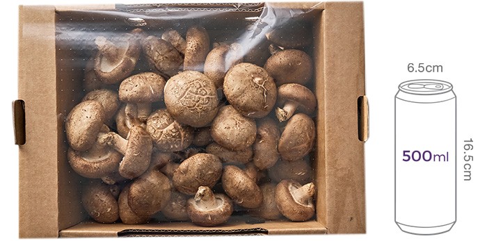 가득 담은 친환경 표고버섯 900g