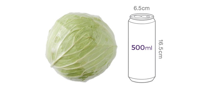 제주 양배추 1통