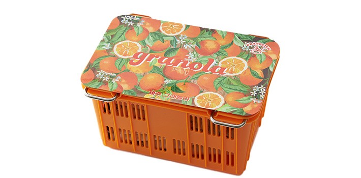 제주 감귤 바구니 그래놀라 30gx8개입 (오리지널&감귤)