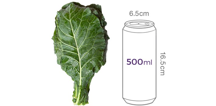 유기농 케일 (즙용) 300g