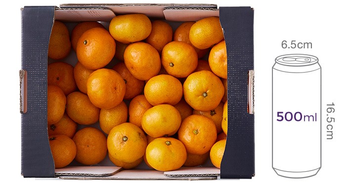 [서귀포농협] 천상천하 타이벡 감귤 3kg