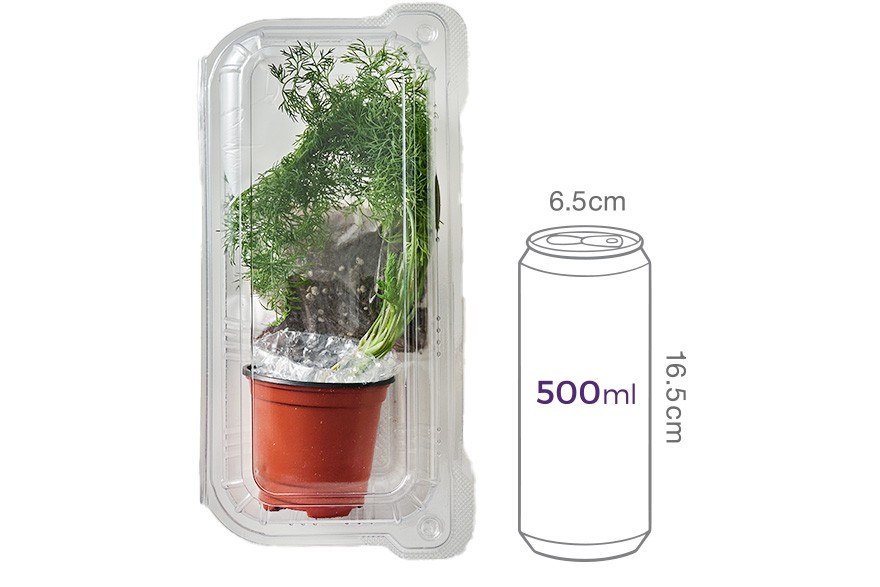 키워먹는 허브_딜