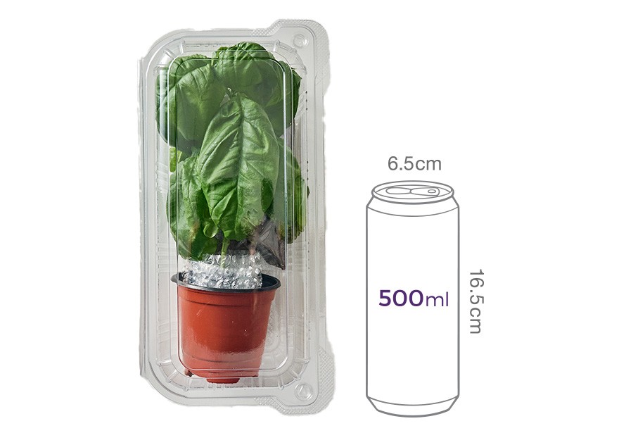 키워먹는 허브_바질