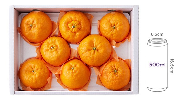 담아 본 윈터프린스 2.5kg