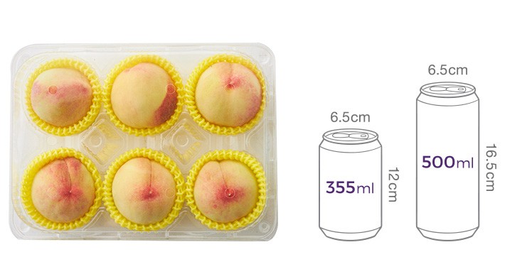 하우스 백도 복숭아 1.2kg 내외 (5~7입)