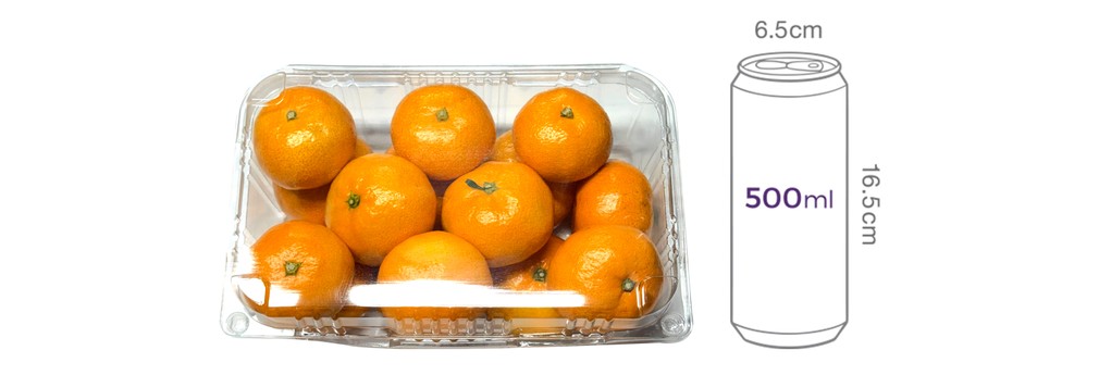 제주 신효 감귤 1.2kg