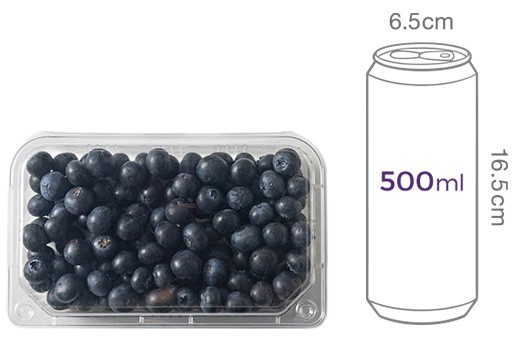 칠레산 세코야 블루베리 278g