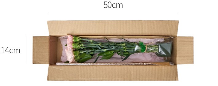 [사랑의 말] 소프트 핑크 카네이션 세트