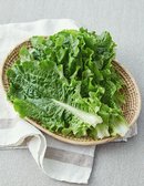 [KF365] 청상추 150g