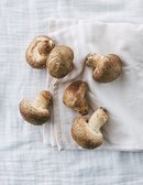 친환경 솔송화 버섯150g