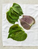 [KF365] 깻잎 30g