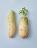 [제각각] 무 2입(1.4kg)