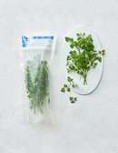 [원에이커팜] 친환경 GAP 차빌 10g