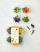 [팜에이트] 하이볼용 허브