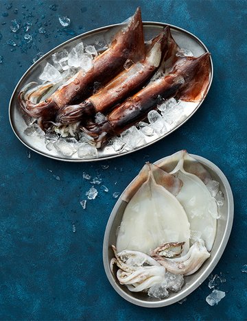 [포트'럭] 국산 오징어 3종 (생물) (택1)