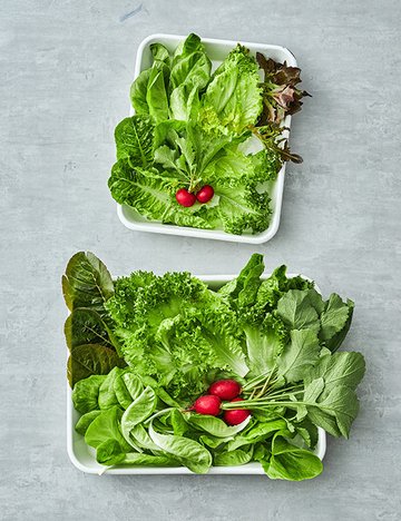 방울방울 래디쉬 샐러드믹스 2종