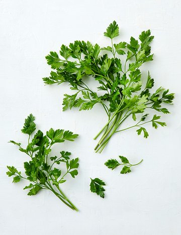 유기농 이탈리안 파슬리 15g