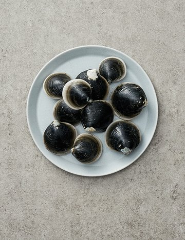 [만선] 모시조개 400g (생물)