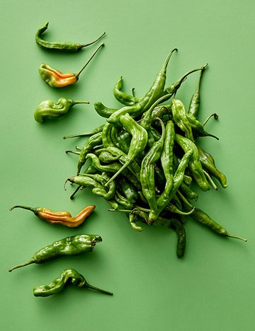 [제각각] 꽈리고추 300g