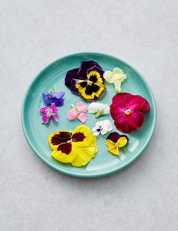 국산 식용화 10입