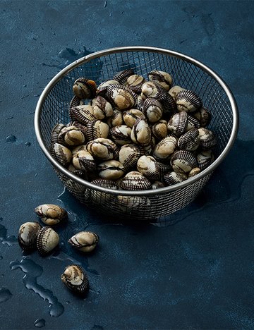 [포트'럭] 남해안 여수 새꼬막 1kg (생물)