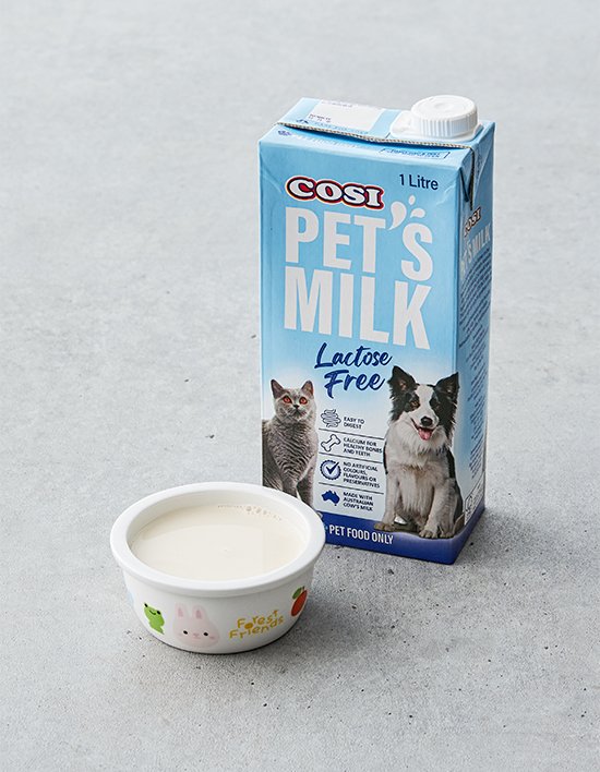 상품-대표-이미지 1