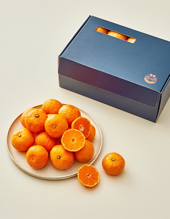 상품-대표-이미지 1