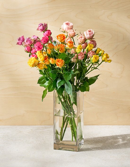 상품-대표-이미지 1