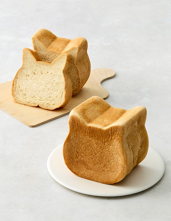 [일 한정수량][밀도] 고양이 식빵 