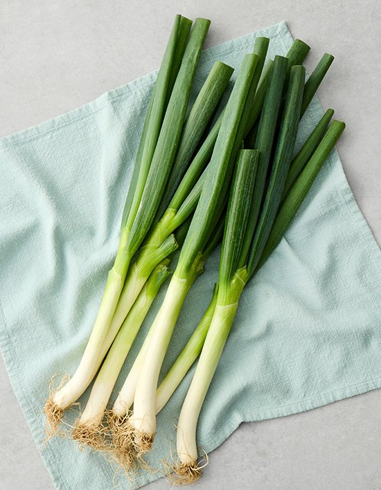 상품-대표-이미지 1