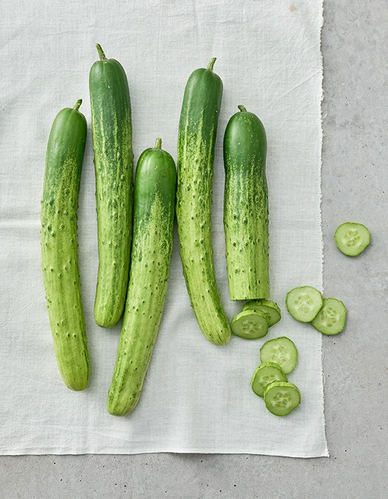 상품-대표-이미지 1