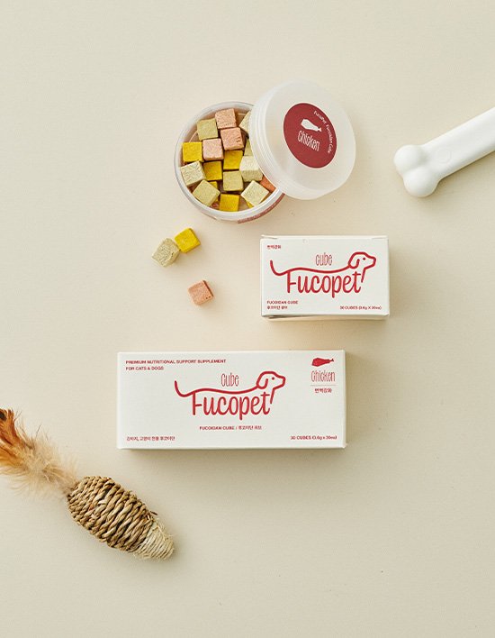 상품-대표-이미지 1