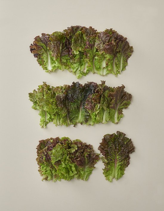 상품-대표-이미지 1